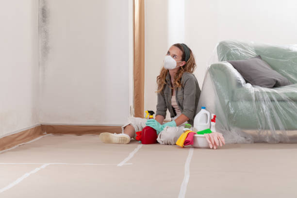 Reliable Mold Removal contractor in Bensenville, IL by 24 Hour Mold Removal